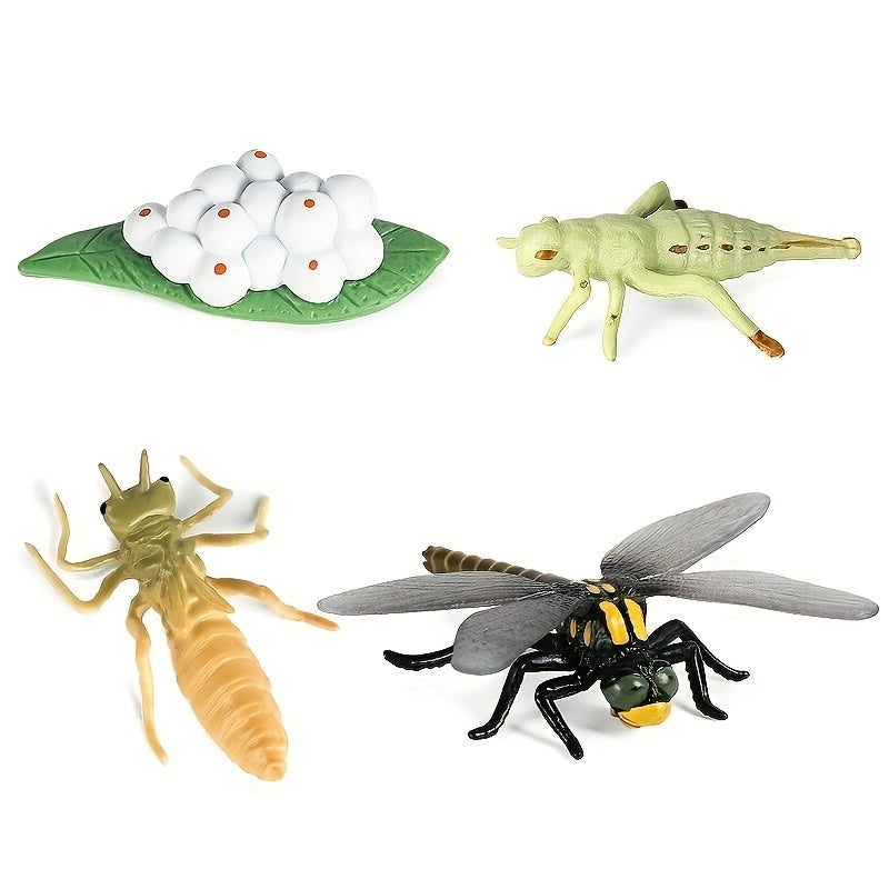 Insect Dragonfly Growth Cycle Model Toy Set