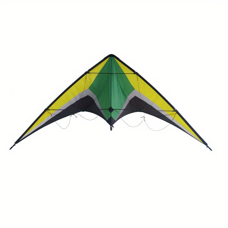 Dual Line Wing Kite for Outdoor Entertainment