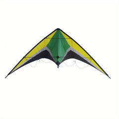 Dual Line Wing Kite for Outdoor Entertainment