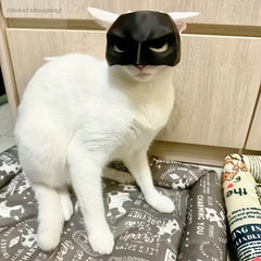 Funny Bat Shaped Pet Cat Helmet Mask Trickster Cat Photo Prop PVC Material