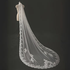3m Lace Wedding Veil with Comb Ivory Bridal Gown