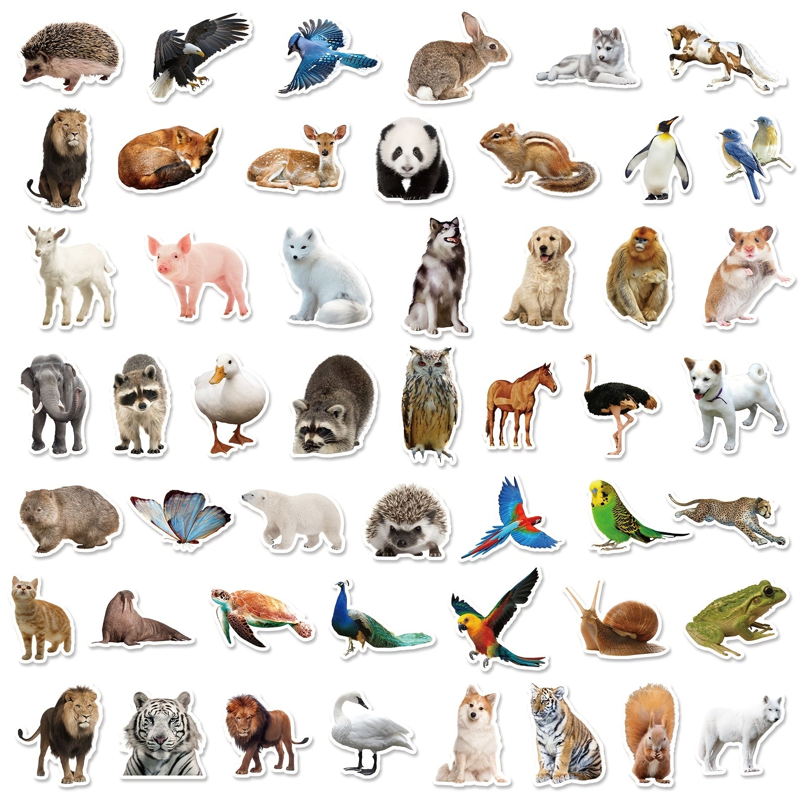 100pcs Realistic Animal Sticker Pack Vinyl Decals for Laptop Skateboard