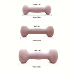 Pair of Solid Iron Dumbbells for Strength Training