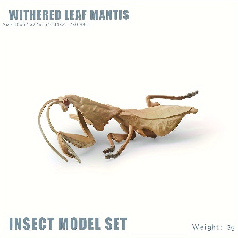 Insect Animal Models Educational Toys