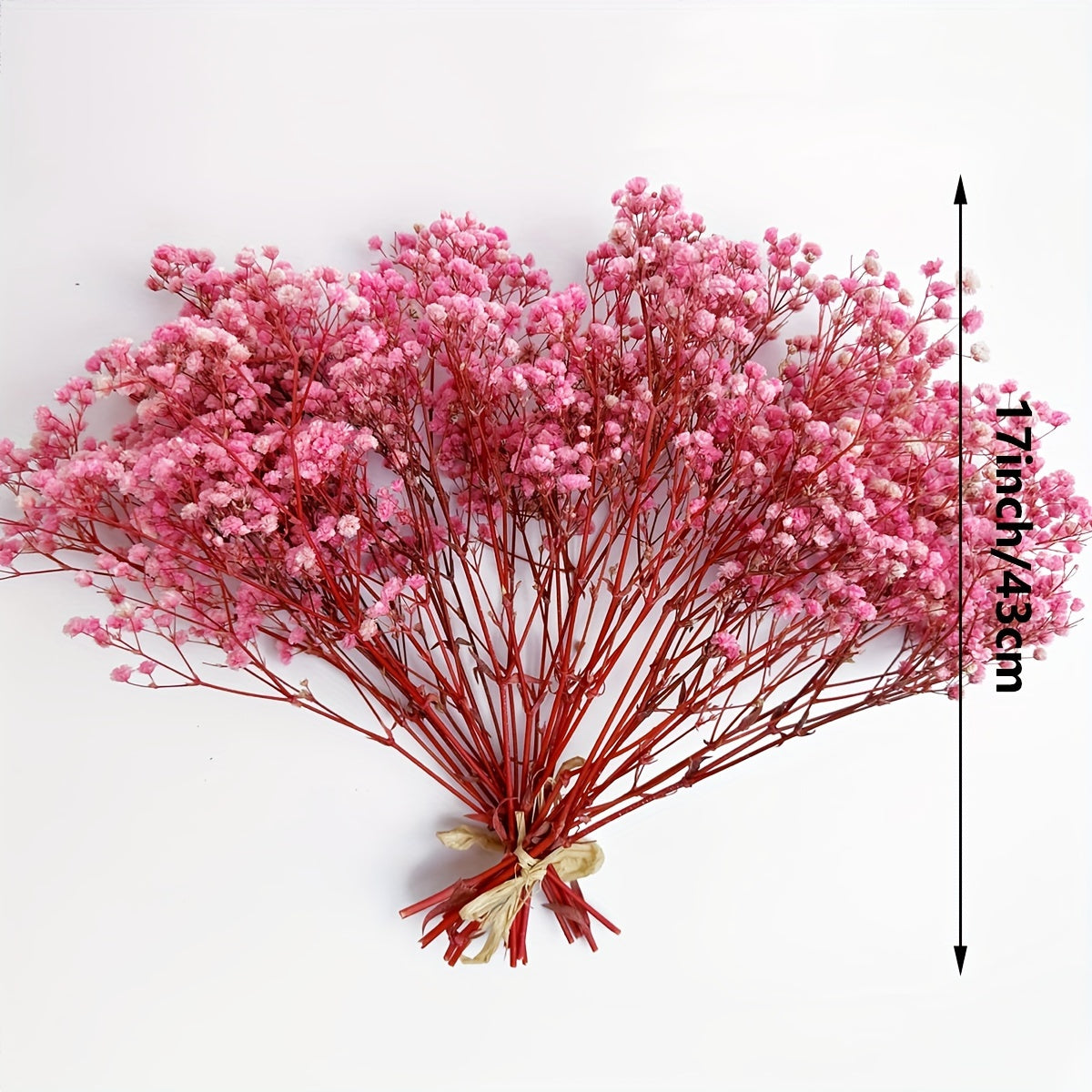 3 Bunches Pink Preserved Baby's Breath Flowers for Vase Home Decor Party