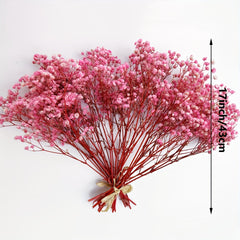 3 Bunches Pink Preserved Baby's Breath Flowers for Vase Home Decor Party