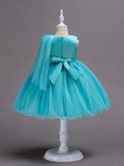Mesh Puffy Princess Dresses for Girls
