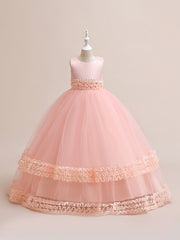 Girls Sleeveless Puffy Princess Dress Lace Trim Tulle Tutu Dress