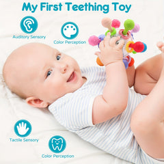 Baby Teething Teether Toys 6-12 Months