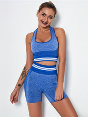 Seamless Knit High Stretchy Bra & Shorts Set