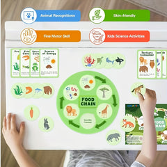 Animal Learning Felt Book for Kids - Science Education Toys
