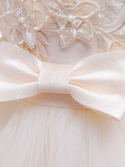 Girls Princess Embroidered Mesh Tutu Dress