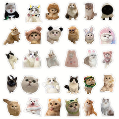 60pcs Animal Stickers Vinyl Decals for Laptop Skateboard Bumper Girl