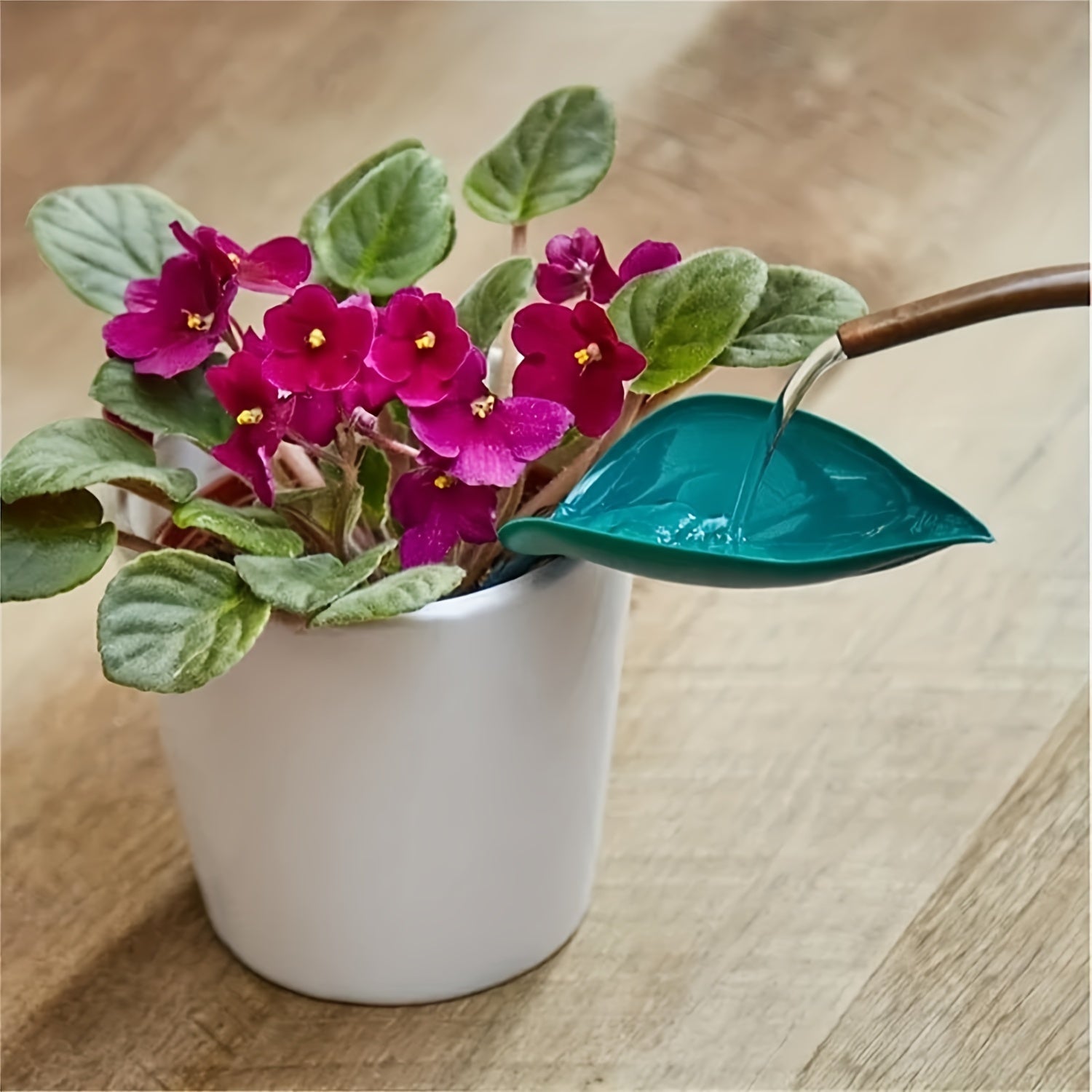 3-in-1 Plant Watering Set Spikes & Funnels for Indoor Plants