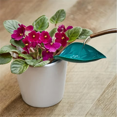 3-in-1 Plant Watering Set Spikes & Funnels for Indoor Plants