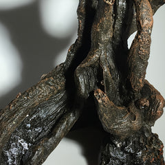 Aquatic Retreat Tree Stump Aquarium Decoration Sunken Wood Fish Hideaway