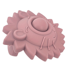 Lion Silicone Pacifier & Anti-lost Pacifier Chain