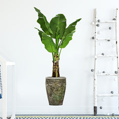 Modern Art Green Plant Removable Sticker for Bedroom Living Room