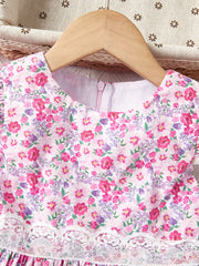 Toddler Girls Flutter Sleeve Lace Trim Flowers Graphic Princess Dress