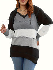 Colorblock Embroidered Hoodie Sweater Women's Plus