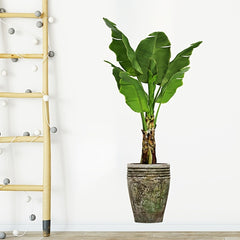 Modern Art Green Plant Removable Sticker for Bedroom Living Room