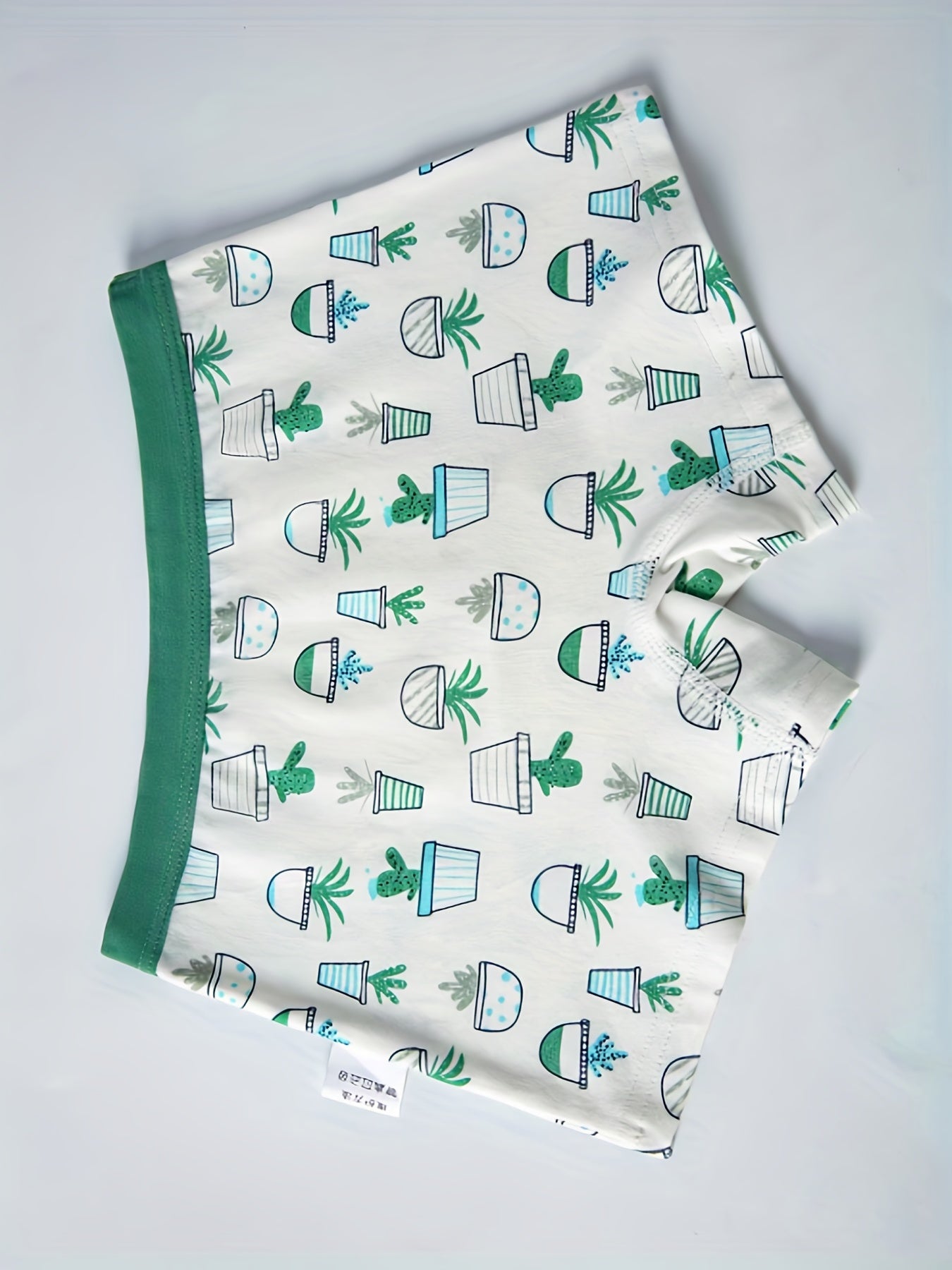 2pcs Boy's Boxer Briefs Cartoon Cactus Print Elastic Waist Shorts