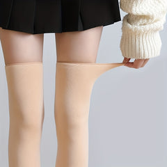 2 Pairs Plush Lined Thigh High Socks Women's Stockings