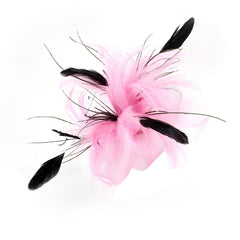 Feather Mesh Corsage Head Clip for Party Dance Christmas Horse Racing
