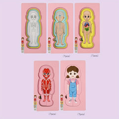 Wooden Anatomy Learning Puzzle Educational Toy for Boys & Girls