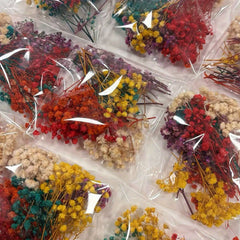 Mixed Colors Dried Flower Bag DIY Epoxy Resin Jewelry Mold Jewelry Craft Set