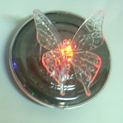 Solar Dragonfly & Butterfly Lights for Outdoor Spaces
