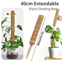 1pc Green Carrot Plant Climbing Pole Palm Rattan St