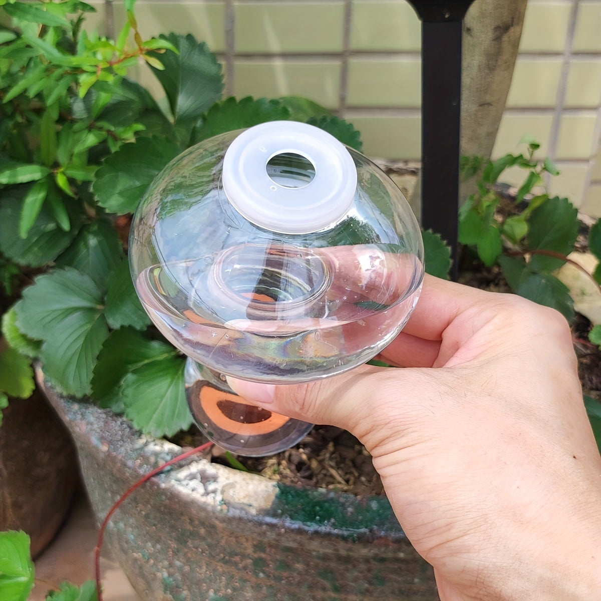 Automatic Mushroom Watering Device for Balcony Succulents