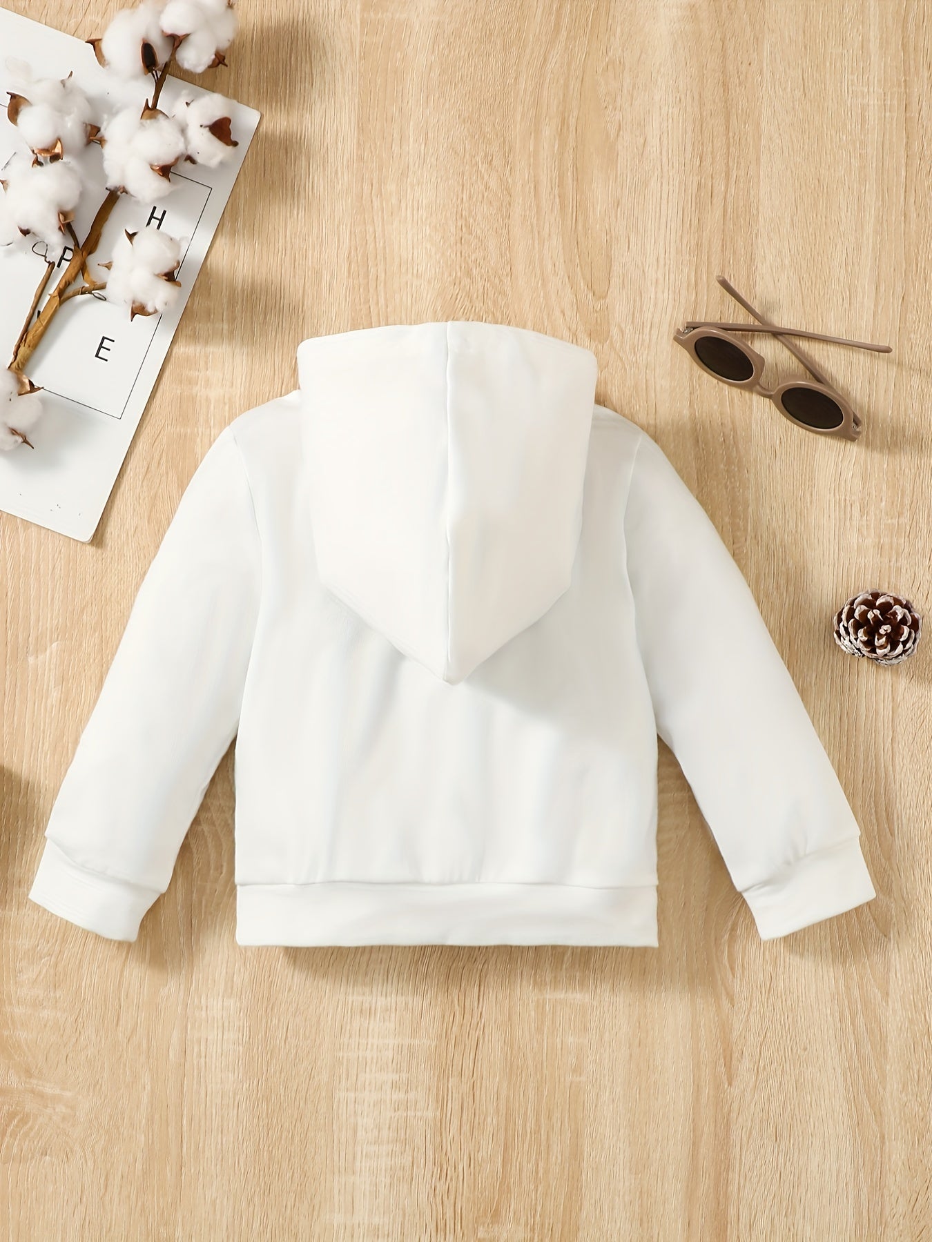 Boys Casual Pullover Hooded Long Sleeve Sweatshirt For Spring Fall Kids Clothing