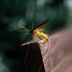 100pcs Colorful Lifelike Fly Fishing Flies for Bass Trout Salmon