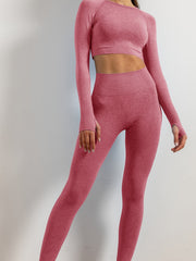 2pcs Women Solid Yoga Set Crop Long Sleeve Shirt & High Waist Leggings