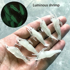 Luminous Soft Lure Bionic Shrimp Bait Freshwater Seawater Fishing