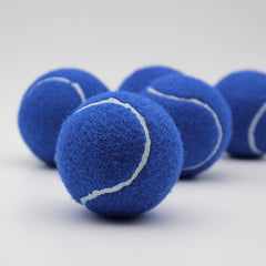 2pcs High Elastic Rubber Tennis Balls for Beginners Practice Outdoor Sports