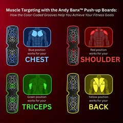 Portable Push up Training Board - Chest & Abdominal Muscle Equipment