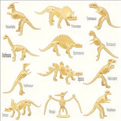 12 Dinosaur Bone Models Archaeological Excavation Set