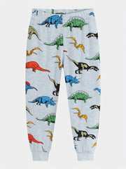 Boys Dino Graphic Loungewear Set Long Sleeve Pullover Top & Pants PJ Set