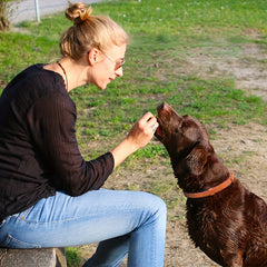 Calming Collar For Cats/Dogs Soothes Anxiety Stress Long Lasting