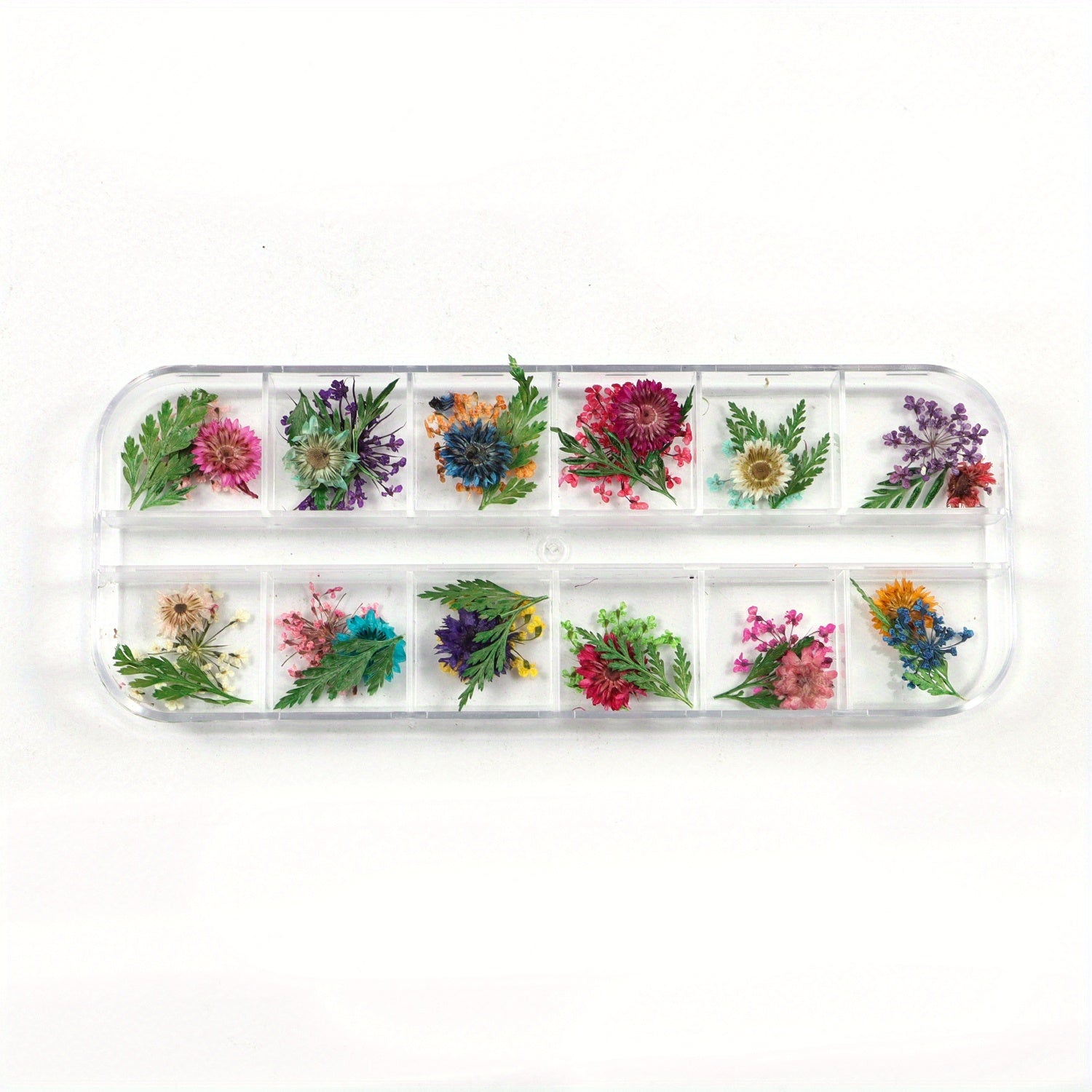 Natural Dried Flower Daisy Pressed Dried Flower With Leaf Resin Mold Fillings