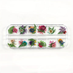 Natural Dried Flower Daisy Pressed Dried Flower With Leaf Resin Mold Fillings