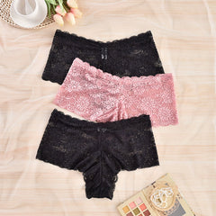 3 Pack Women's Plus Lace Trim Briefs Set