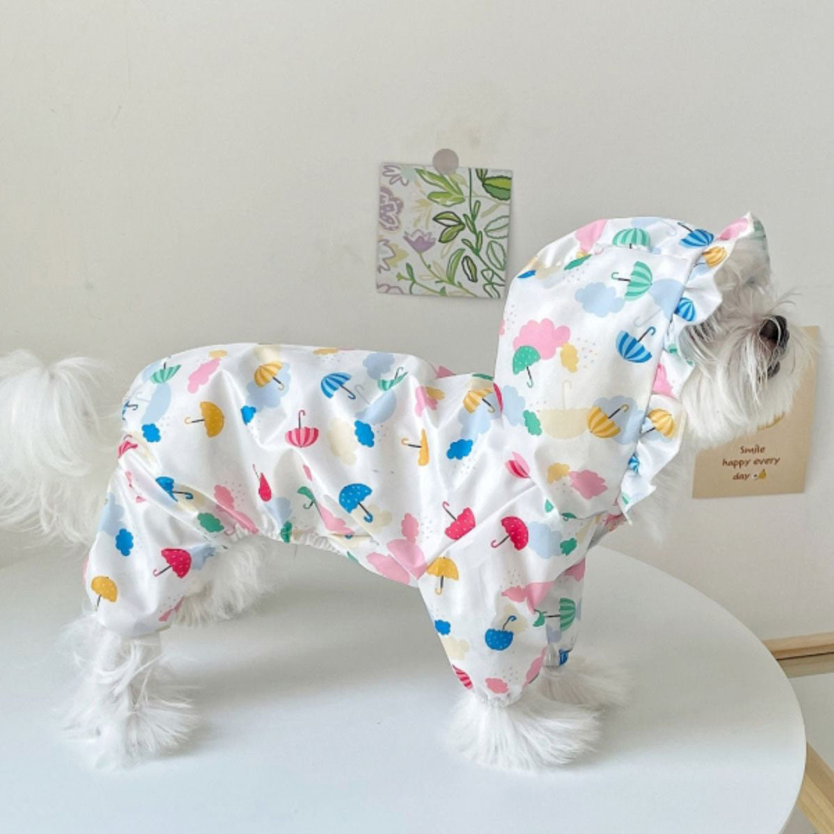 Waterproof Pet Raincoat for Small and Medium Dogs