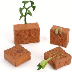 Farm Plant Life Cycle Figure Set Educational Toys Christmas Gift Learning