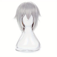 Anime Cosplay Silver Gray Men's Wig Full Head Cover