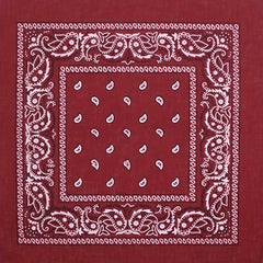 Vintage Paisley Print Bandana Hip Hop Multifunctional Neck Gaiter