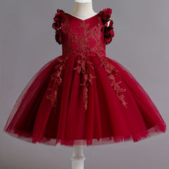Flower Girl Lace Embroidery Dress Pageant Wedding Holiday Party Dresses